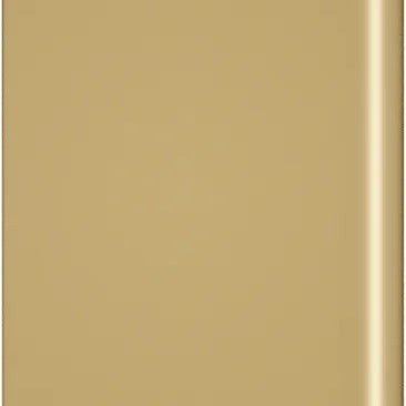 Etui na karty SECRID Cardprotector | Złote