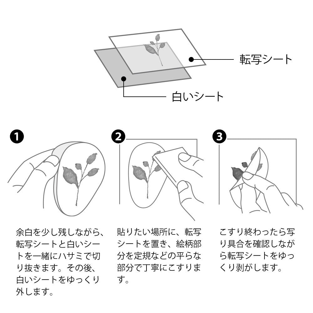 Naklejki transferowe Midori | Kwitnące Rośliny