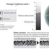 Atrament permanentny Platinum Chou Kuro 60 ml