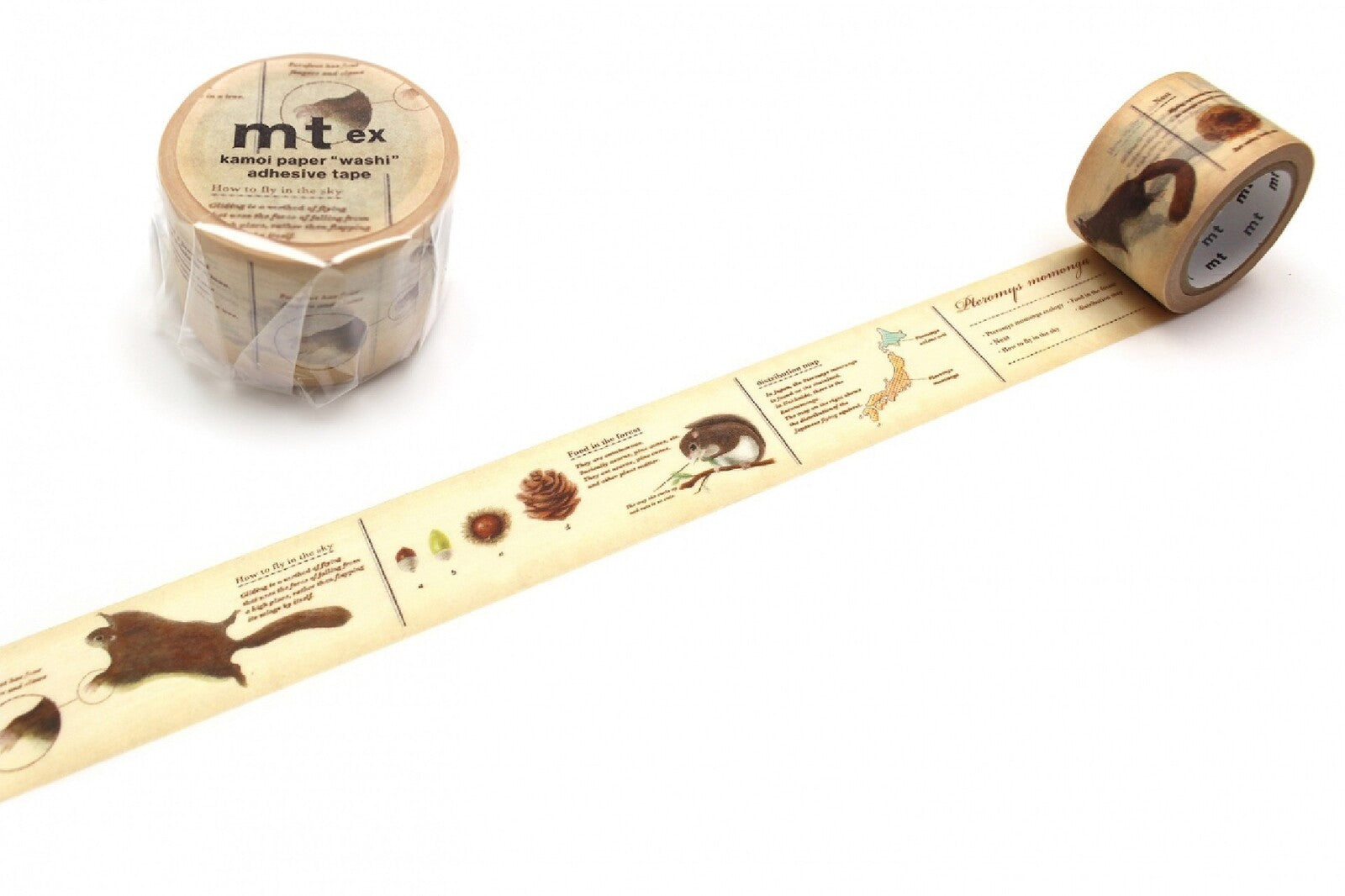 Taśma MT Encyklopedia | Polatuchy