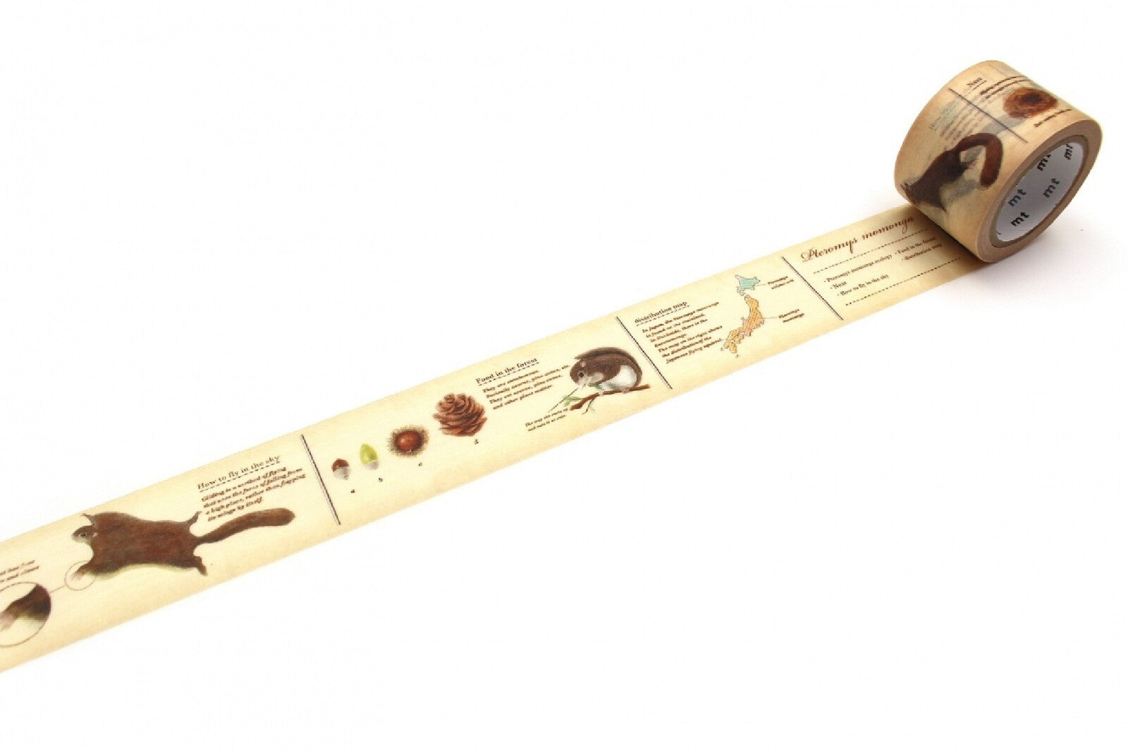 Taśma MT Encyklopedia | Polatuchy