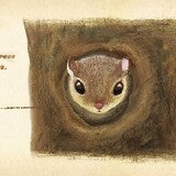 Taśma MT Encyklopedia | Polatuchy