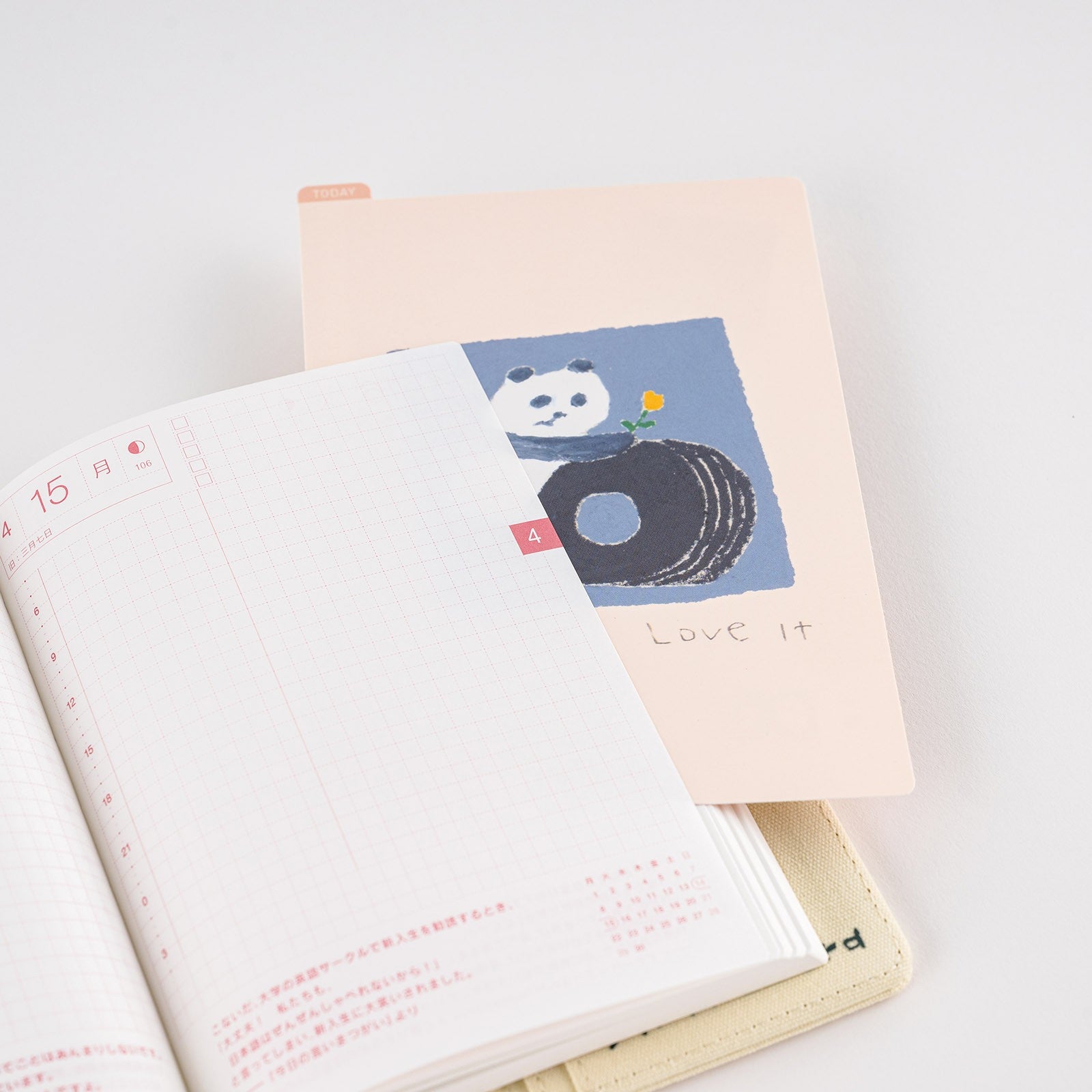 Liniuszek Hobonichi A6 | Jin Kitamura: Love it Panda