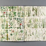 Papier kreatywny 50 x 70 cm | Flora