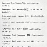 Pióro wieczne Esterbrook Estie | Petrified Forest Palladium Trim