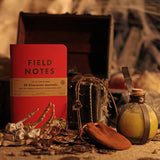 Dziennik Postaci Field Notes 2 pack