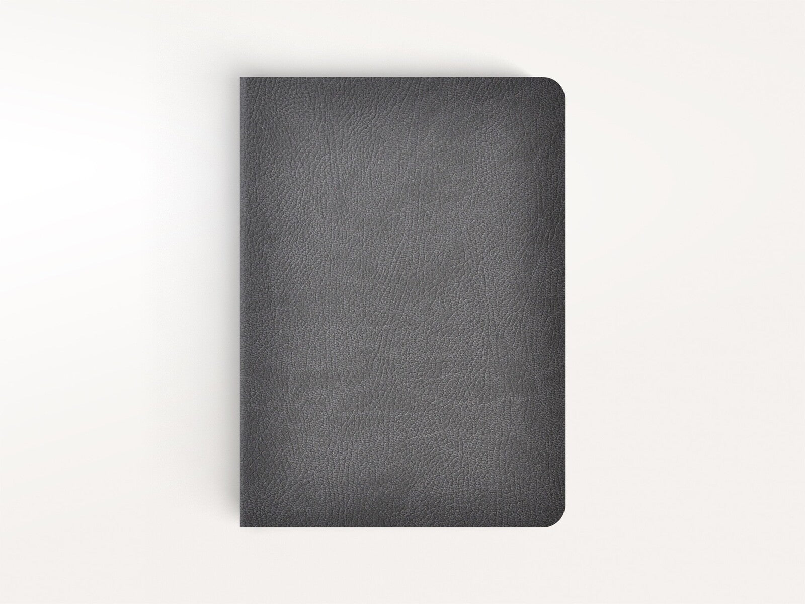 Notatnik CIAK MATE 21x29,7cm | Linie