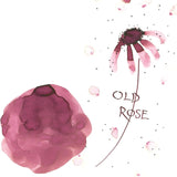 Atrament Kuretake Ink-Cafe Art Nouveau | Old Rose