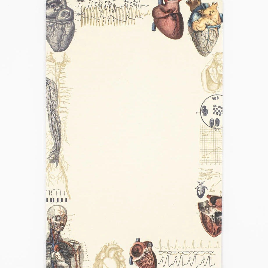 Pad Cognitive Surplus | Serce