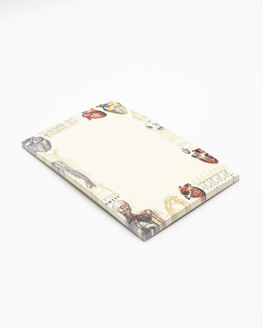 Pad Cognitive Surplus | Serce