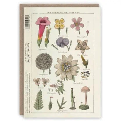 Kartka okolicznościowa | Klasy Linneusza