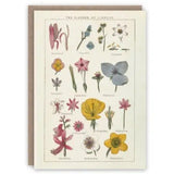 Kartka okolicznościowa | Klasy Linneusza