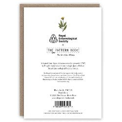 Kartka okolicznościowa | Mniszki lekarskie