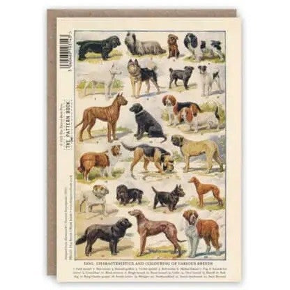 Kartka okolicznościowa | Rasy psów