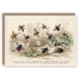 Kartka okolicznościowa | Pszczoły