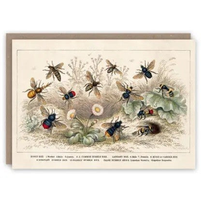 Kartka okolicznościowa | Pszczoły