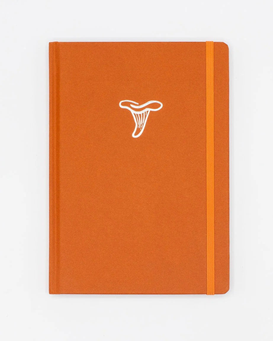 Notatnik Cognitive Surplus | Grzyby