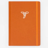 Notatnik Cognitive Surplus | Grzyby