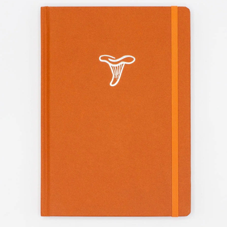 Notatnik Cognitive Surplus | Grzyby