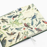 Notatnik Cognitive Surplus | Ptaki