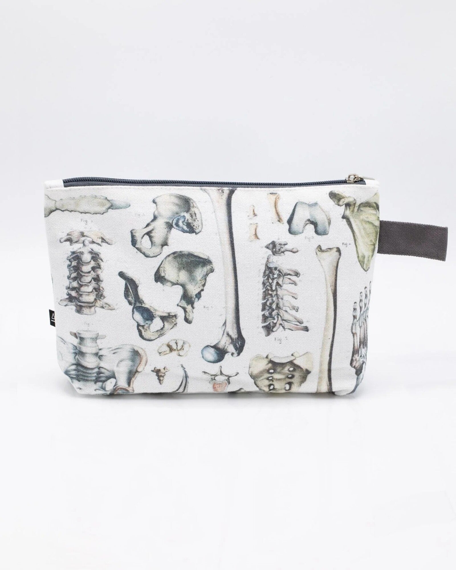 Piórnik Cognitive Surplus | Szkielet