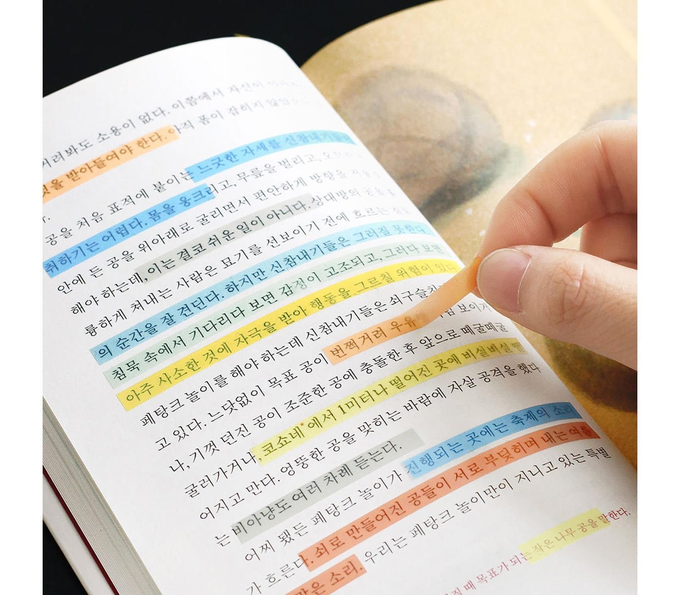 Zakładki indeksujące ICONIC Long Index Highlighter