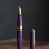 Pióro wieczne Esterbrook Model J | Blackberry