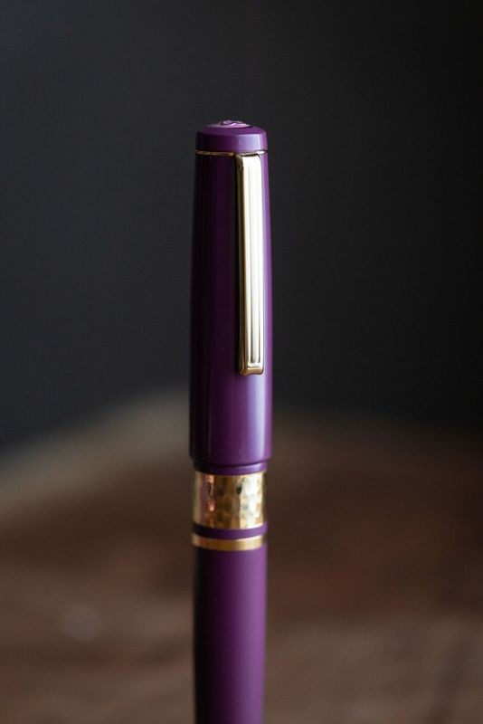 Pióro wieczne Esterbrook Model J | Blackberry