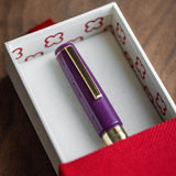 Pióro wieczne Esterbrook Model J | Blackberry