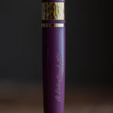 Pióro wieczne Esterbrook Model J | Blackberry