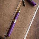 Pióro wieczne Esterbrook Model J | Blackberry