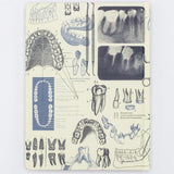 Notatnik Cognitive Surplus w twardej oprawie | Stomatologia