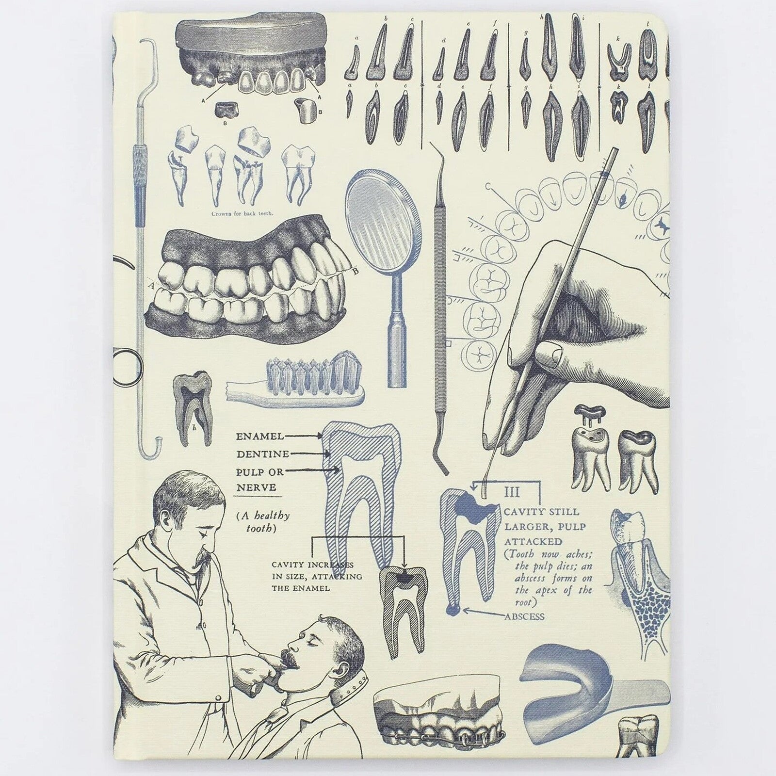 Notatnik Cognitive Surplus w twardej oprawie | Stomatologia