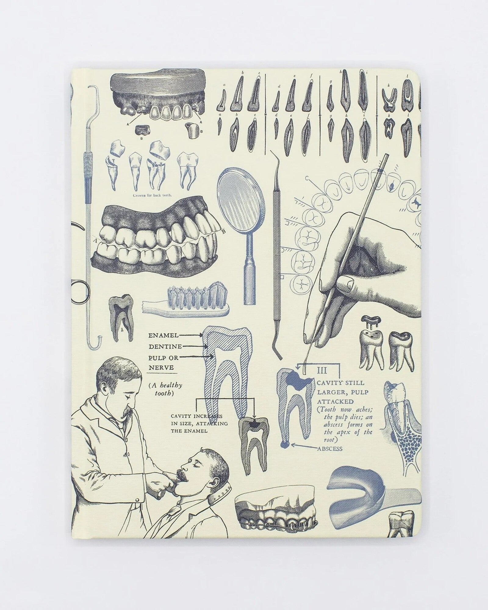 Notatnik Cognitive Surplus w twardej oprawie | Stomatologia