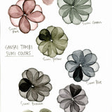 Farby akwarelowe Kuretake Gansai Tambi Sumi Colors 6 sztuk