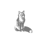 Notatnik skórzany Bomo Art | Lis