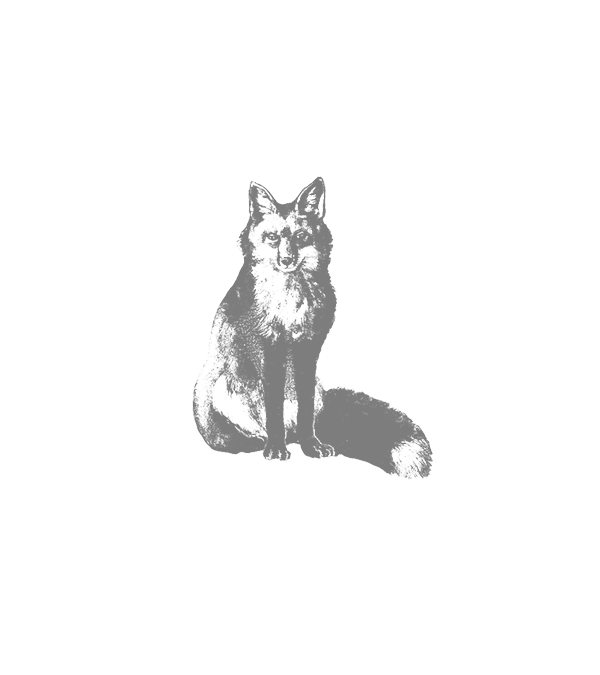 Notatnik skórzany Bomo Art | Lis