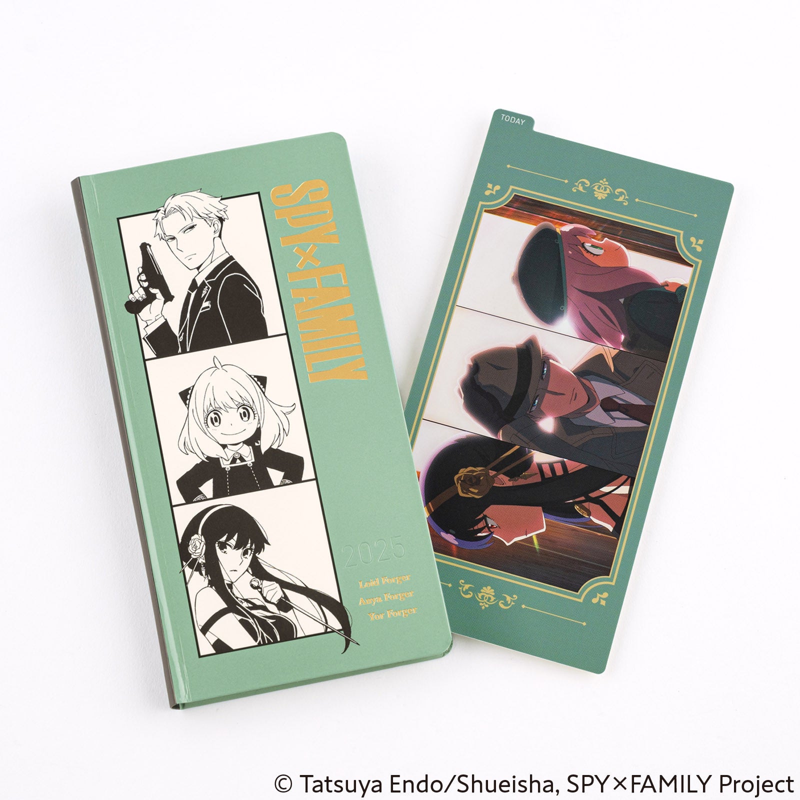 Liniuszek Hobonichi Weeks | SPY x Family