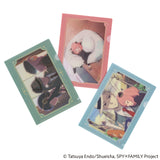 Zestaw Folderów Hobonichi A6 | SPY x Family