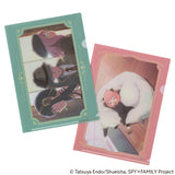 Zestaw Folderów Hobonichi A5 | SPY x Family