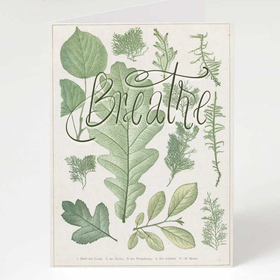 Kartka okolicznościowa Cognitive Surplus | Breathe