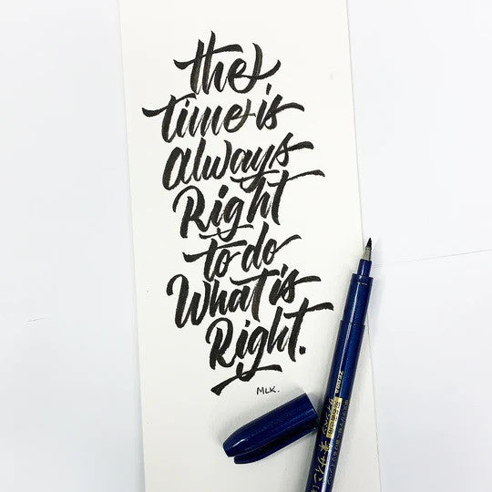 Brush Pen Zebra Zensations | Medium