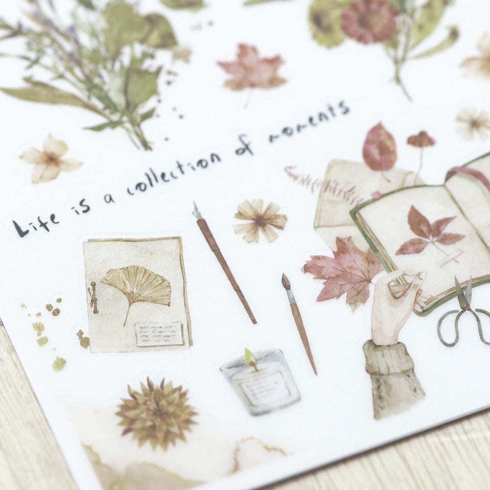 Naklejki transferowe | 254