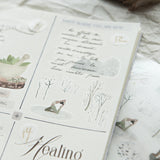 Naklejki transferowe | 262