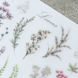 Naklejki transferowe | 055