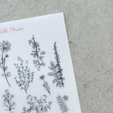 Naklejki transferowe | 055