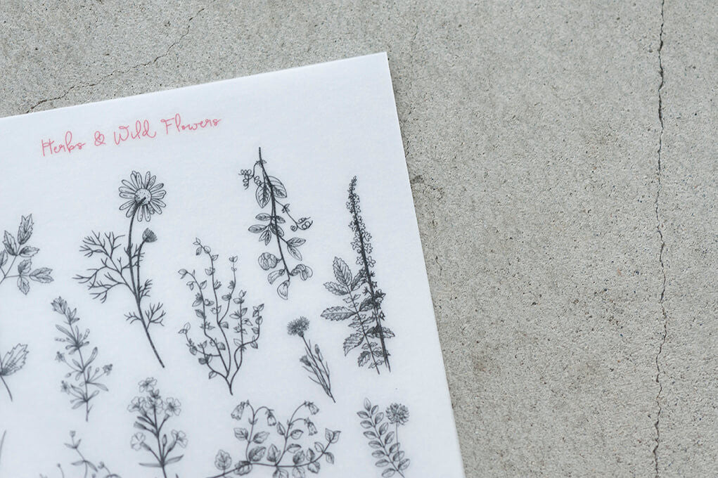 Naklejki transferowe | 055