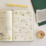 Naklejki transferowe | 121