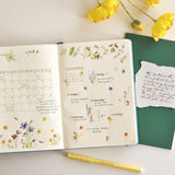 Naklejki transferowe | 121