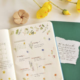 Naklejki transferowe | 121